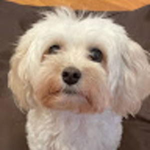 Meet your Posher, Chloe